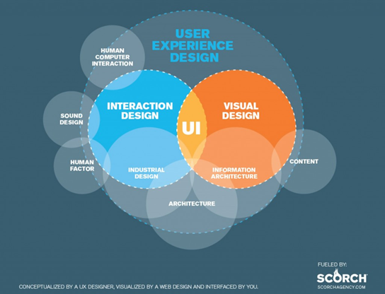 UX Multidisciplinario